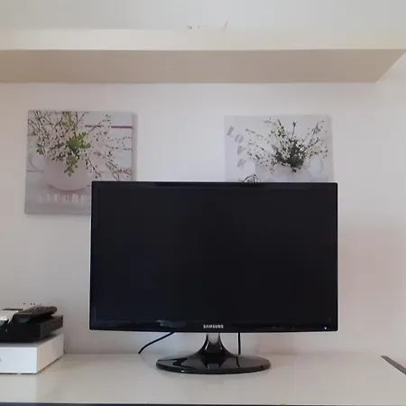 Palais De Coppet アパート *